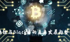 区块链与Black币的未来发展趋势分析