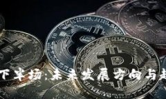 区块链下半场：未来发展方向与趋势分析