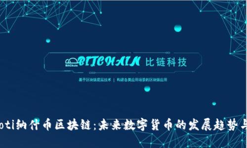 bianoti纳什币区块链：未来数字货币的发展趋势与挑战