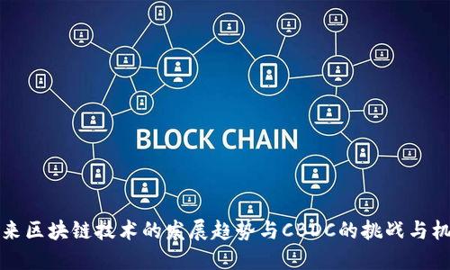 未来区块链技术的发展趋势与CBDC的挑战与机遇