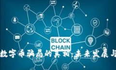 揭开区块链与数字币骗局的真相：未来发展与安