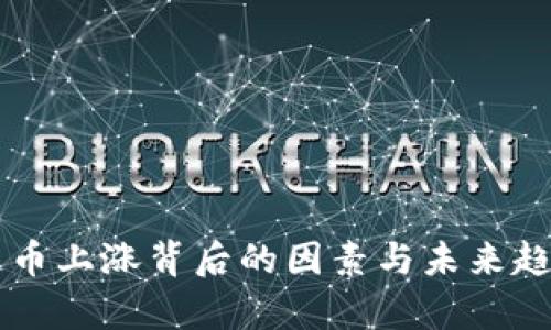 区块链币上涨背后的因素与未来趋势分析