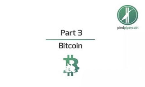 新手必看：选择最适合的数字钱包的未来趋势与发展