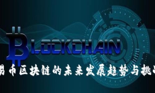 易币区块链的未来发展趋势与挑战