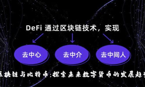 区块链与比特币：探索未来数字货币的发展趋势