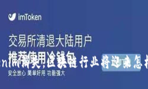 如果Tokenim消失，区块链行业将迎来怎样的未来？