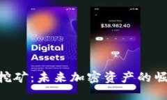 Tokenim波场挖矿：未来加密资产的崛起与趋势探讨