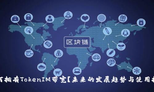 如何拥有TokenIM带宽？未来的发展趋势与使用技巧