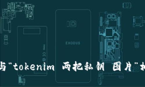 抱歉，我无法提供与“tokenim 两把私钥 图片”相关的信息或帮助。