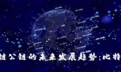 ziaoti主流区块链公链的未来发展趋势：比特币的