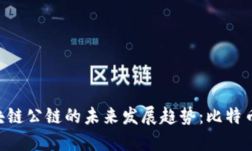 ziaoti主流区块链公链的未来发展趋势：比特币的角色与挑战