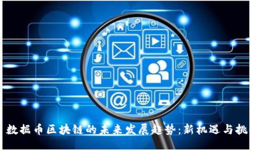 : 数据币区块链的未来发展趋势：新机遇与挑战