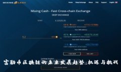 富勒币区块链的未来发展趋势：机遇与挑战