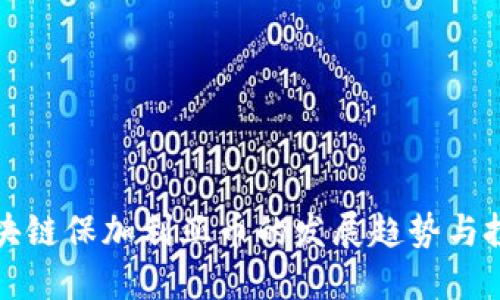 未来区块链保加利亚币的发展趋势与投资机会