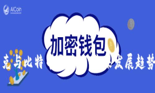 马斯克与比特币区块链：未来发展趋势分析