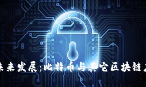 区块链的未来发展：比特币与其它区块链应用的趋势