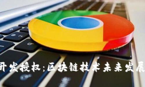 Tokenim开发授权：区块链技术未来发展的新趋势