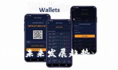 比特币区块链确认时间的未来发展趋势：解决交