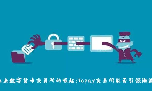 未来数字货币交易所的崛起：Topay交易所能否引领潮流？