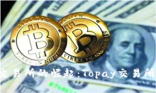 未来数字货币交易所的崛起：Topay交易所能否引领潮流？