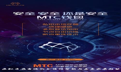 虚拟币在香港的合法性分析与未来发展趋势