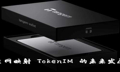 BTM主网映射 TokenIM 的未来发展趋势