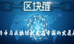 未来比特币与区块链技术在中国的发展趋势分析