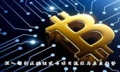 深入解析区块链发币项目流程与未来趋势