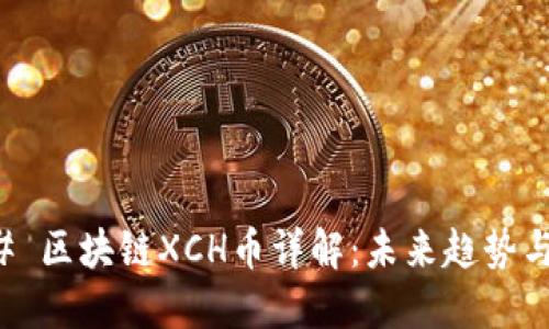### 区块链XCH币详解：未来趋势与发展