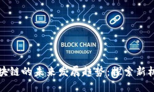 鱿鱼币区块链的未来发展趋势：探索新机遇与挑战