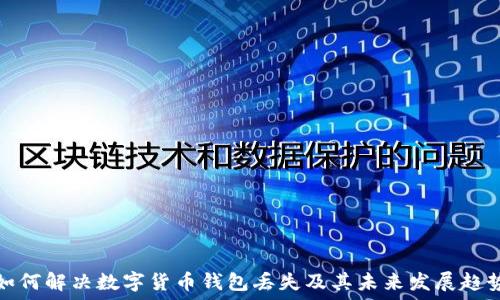  
如何解决数字货币钱包丢失及其未来发展趋势