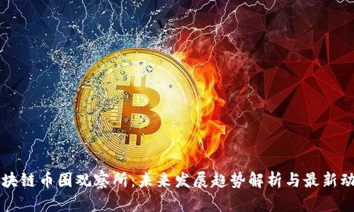 区块链币圈观察所：未来发展趋势解析与最新动态