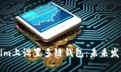 如何在Tokenim上设置多链钱包：未来发展与趋势分