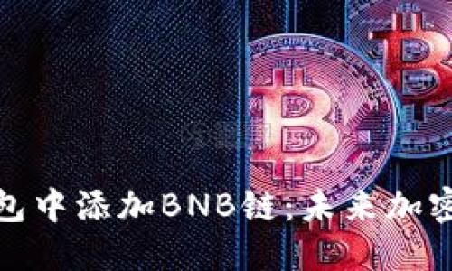 如何在小狐狸钱包中添加BNB链：未来加密资产管理的趋势