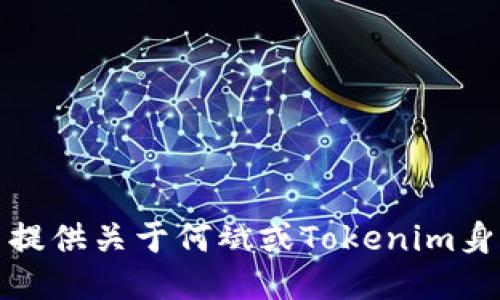 很抱歉，我无法提供关于何斌或Tokenim身价的相关信息。