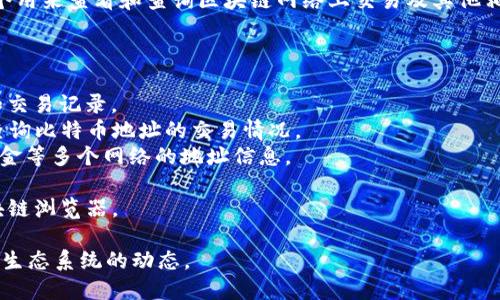 区块链查看地址的软件一般被称为“区块链浏览器”。区块链浏览器是一个用来查看和查询区块链网络上交易及其他相关信息的工具，可以让用户查看特定地址的余额、交易记录、区块信息等。

以下是一些知名的区块链浏览器：

1. **Etherscan**：用于以太坊网络，允许用户查看以太坊地址的余额和交易记录。
2. **Blockchain.com**：支持比特币及其他加密货币的浏览，用户可以查询比特币地址的交易情况。
3. **Blockchair**：支持多种区块链，可以查询比特币、以太坊、比特币现金等多个网络的地址信息。
4. **Tronscan**：专门用于波场（TRON）网络的浏览器。
5. **BscScan**：主要用于币安智能链（Binance Smart Chain）的区块链浏览器。

使用这些工具，用户可以方便地跟踪交易、检查余额以及深入了解区块链生态系统的动态。