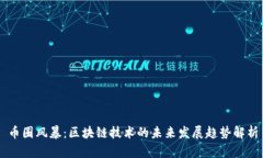 币圈风暴：区块链技术的未来发展趋势解析