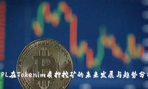 DPL在Tokenim质押挖矿的未来发展与趋势分析