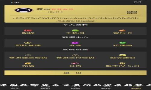 未来中国数字货币交易所的发展趋势与挑战