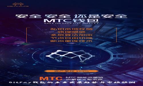 BitPay钱包的未来发展趋势与市场预测