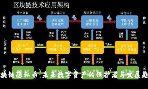 区块链隐私币：未来数字资产的保护者与发展趋势