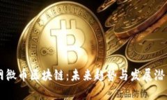 币联网微币区块链：未来趋势与发展潜力分析