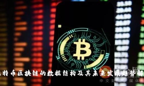 比特币区块链的数据结构及其未来发展趋势解析
