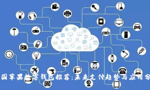 美国苹果数字钱包推荐：未来支付趋势与应用分析