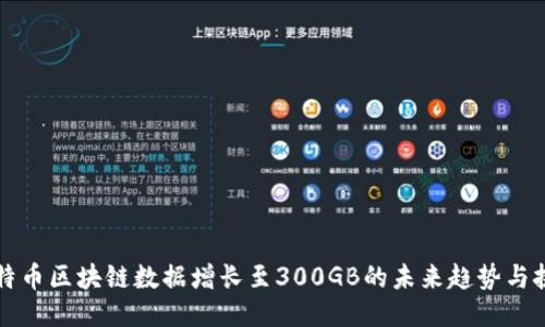 比特币区块链数据增长至300GB的未来趋势与挑战