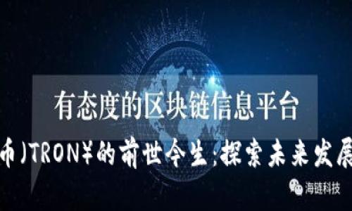 波场币（TRON）的前世今生：探索未来发展趋势