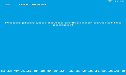 区块链科罗币投资前景分析：未来发展趋势与投资价值