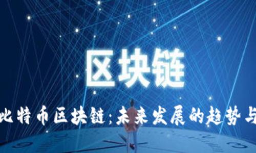 全民比特币区块链：未来发展的趋势与机遇