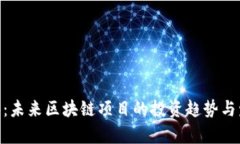 Tokenim测评：未来区块链项目的投资趋势与发展前