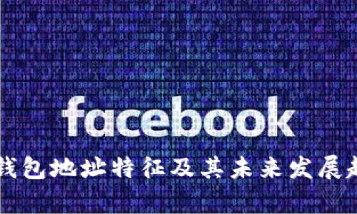区块链钱包地址特征及其未来发展趋势分析